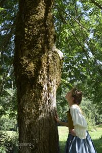 lesaequinoxes-secret-arbre-angele-millet-mathis-leduque-arbre-LOGOweb