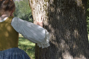 les-aequinoxes-cantal-arbre-dos-mathis-leduque-web-logo