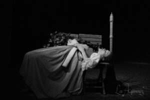 les-aequinoxes-secrets-arbre-besancon-princesse-endormie-web-logo-Robin-Davies