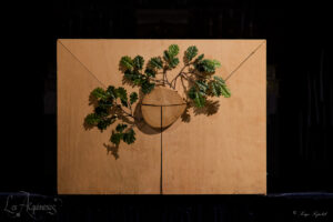 les-aequinoxes-secrets-arbre-butai-Serge-Lepetit-web-logo