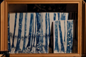 les-aequinoxes-secrets-arbre-usson-forêt-Serge-Lepetit-web-logo